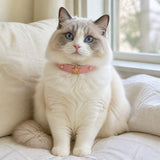 Peach Star Cat Collar with Gold-Tone Emblem and Pink Cat-Eye Details