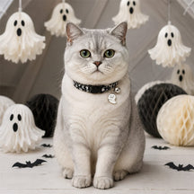 Moonlit Ghost Cat Collar with Silver Bell and Halloween Charm