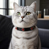 Blood Moon Cat Collar with Halo-Framed Ruby Crystals