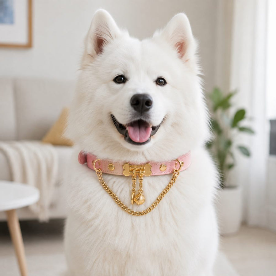 Peach Bone Dog Collar with Gold-Tone Clasp and Draped Chain