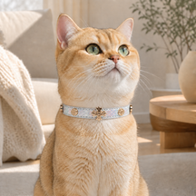 Prismatic Blossom Cat Collar with Rose-Gold Floral Detail