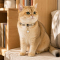Moonlit Clover Cat Collar with Iridescent Gold Detail