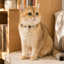 Moonlit Clover Cat Collar with Iridescent Gold Detail