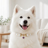 Amethyst Heart White Dog Collar with Gold-Tone Hardware and Pearl Halo Charm