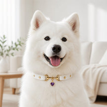 Amethyst Heart White Dog Collar with Gold-Tone Hardware and Pearl Halo Charm
