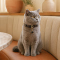 Midnight Clover Cat Collar with Black Floral Details and Crystal Pendant