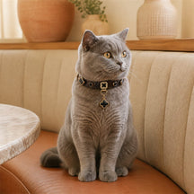 Midnight Clover Cat Collar with Black Floral Details and Crystal Pendant