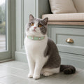 Mint Prism Cat Collar with Aurora Crystal Details