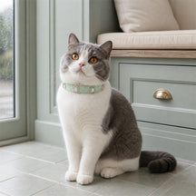 Mint Prism Cat Collar with Aurora Crystal Details