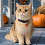 Moonlit Pumpkin Cat Collar with Witch-Hat Charm and Silver Bell