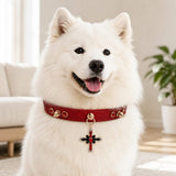 Crimson Flame Dog Collar with Gold Spikes and Jeweled Cross Charm