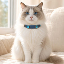 Icy Ocean Cat Collar with Aqua Crystal Details