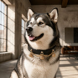 Black and Gold Dog Collar with Triple Filigree Orbs and Draped Chains