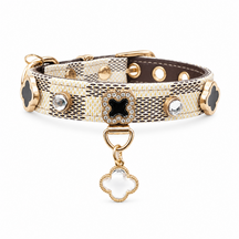 Moonlit Clover Cat Collar with Iridescent Gold Detail