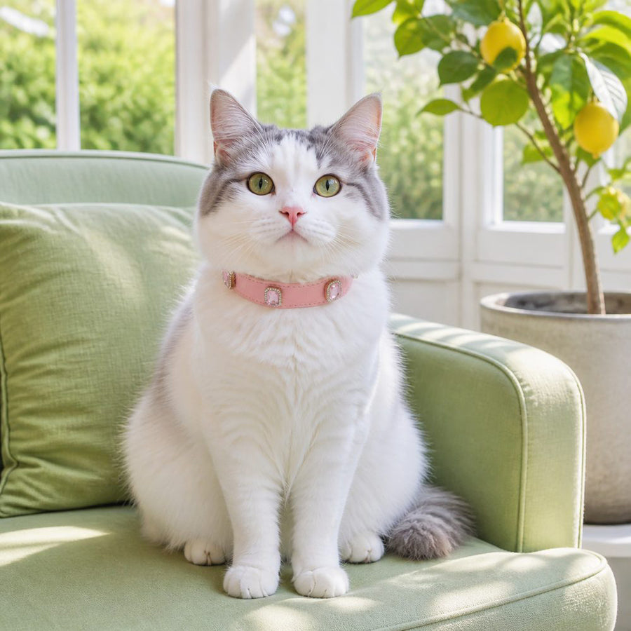 Rose Jewel Cat Collar with Halo-Framed Pink Crystals