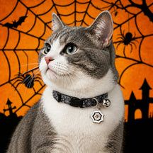 Haunted Web Cat Collar with Silver Bell and Spider Charm