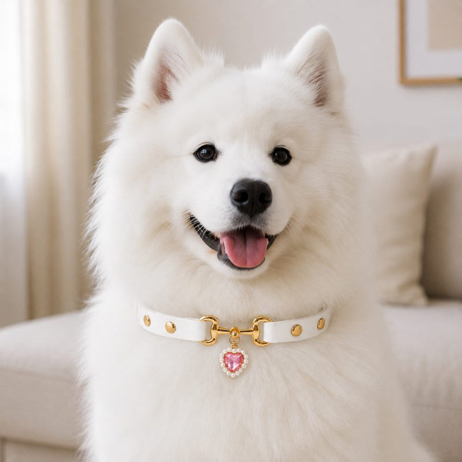 Pearl Heart White Dog Collar with Pink Crystal Charm