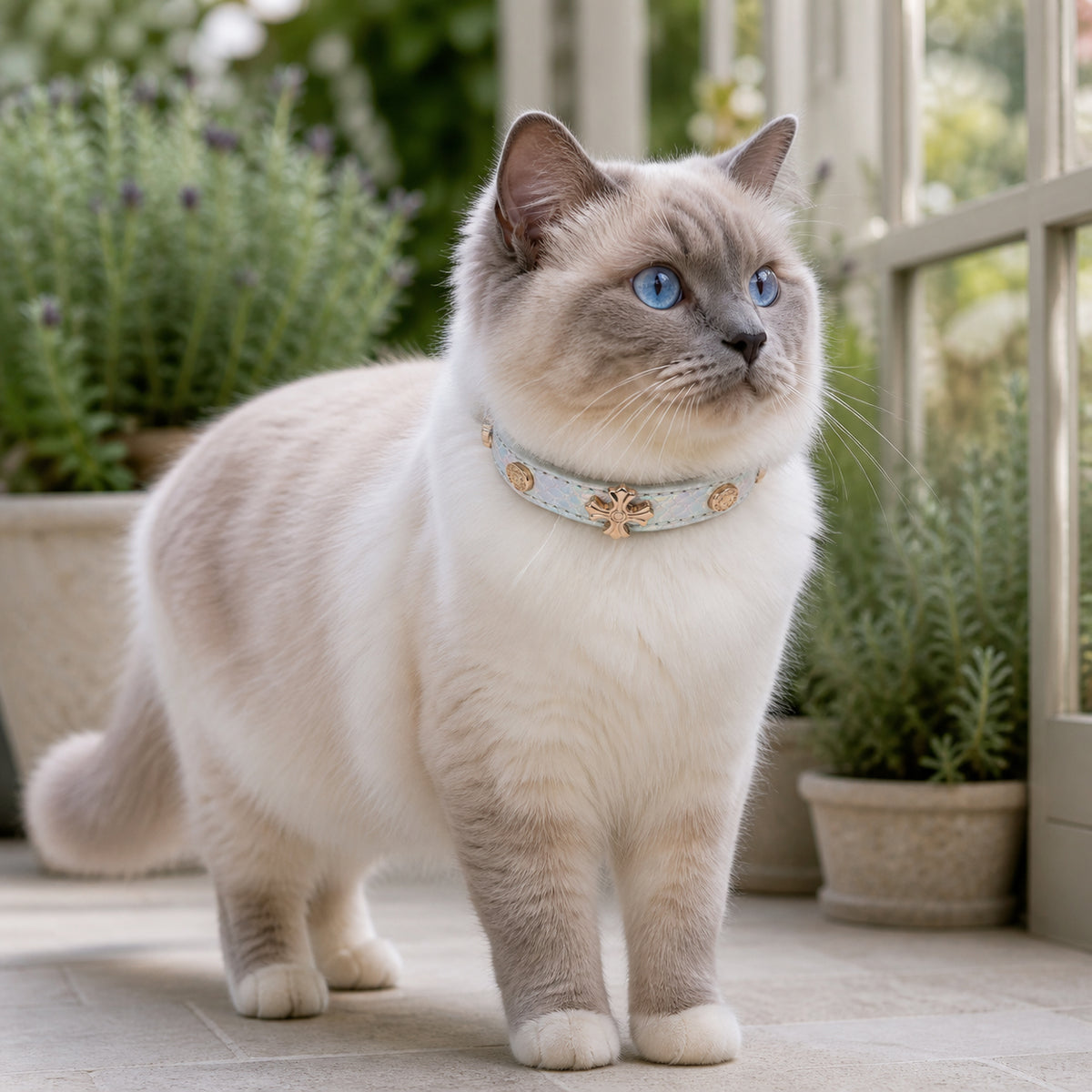Prismatic Blossom Cat Collar with Rose-Gold Floral Detail