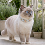 Prismatic Blossom Cat Collar with Rose-Gold Floral Detail