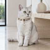 Moonlit Clover Cat Collar with Iridescent Gold Detail