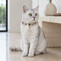 Moonlit Clover Cat Collar with Iridescent Gold Detail