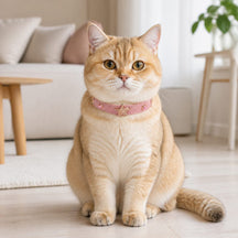 Peach Star Cat Collar with Gold-Tone Emblem and Pink Cat-Eye Details