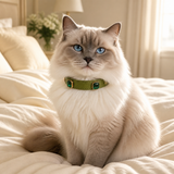 Emerald Forest Cat Collar with Vintage Green Crystal Details