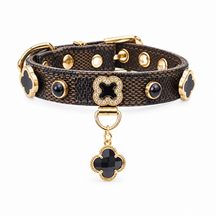 Midnight Gold Lucky Clover Dog Collar with Crystal Charm