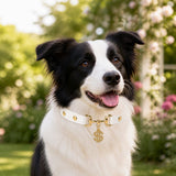 Golden Fortune White Dog Collar with Crystal Dollar Charm