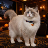 Moonlit Pumpkin Cat Collar with Witch-Hat Charm and Silver Bell