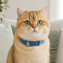 Icy Ocean Cat Collar with Aqua Crystal Details