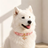 Blush Radiance Dog Collar with Pink Crystals and Gold Cross Charm