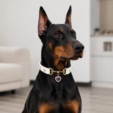 Amethyst Heart White Dog Collar with Gold-Tone Hardware and Pearl Halo Charm