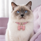 Cherry Blossom Cat Collar with Pink Bow and Crystal Flowers