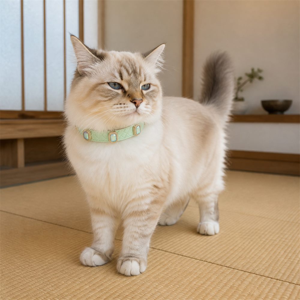 Mint Prism Cat Collar with Aurora Crystal Details