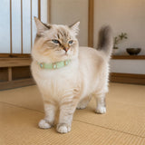 Mint Prism Cat Collar with Aurora Crystal Details