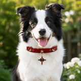 Crimson Flame Dog Collar with Gold Spikes and Jeweled Cross Charm