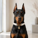 Golden Fortune White Dog Collar with Crystal Dollar Charm