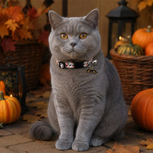 Midnight Blood Bat Cat Collar with Skull Bow and Bell