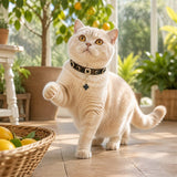 Midnight Clover Cat Collar with Black Floral Details and Crystal Pendant
