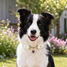 Amethyst Heart White Dog Collar with Gold-Tone Hardware and Pearl Halo Charm