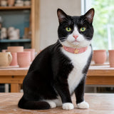Peach Star Cat Collar with Gold-Tone Emblem and Pink Cat-Eye Details