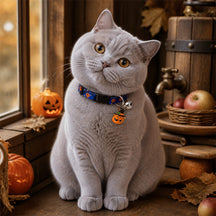 Moonlit Pumpkin Cat Collar with Witch-Hat Charm and Silver Bell