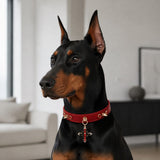 Crimson Flame Dog Collar with Gold Spikes and Jeweled Cross Charm