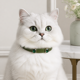 Emerald Forest Cat Collar with Vintage Green Crystal Details