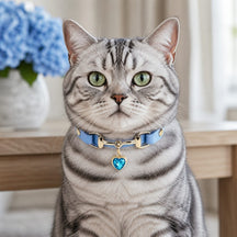 Aqua Jewel Cat Collar with Blue Crystal Heart Pendant