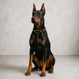 Golden Heart “GOOD GIRL” Dog Collar
