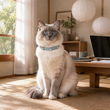 Icy Ocean Cat Collar with Aurora Crystal Details
