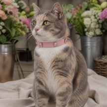 Rose Jewel Cat Collar with Halo-Framed Pink Crystals