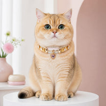 Prismatic Heart Cat Collar with Pink Crystal Pendant